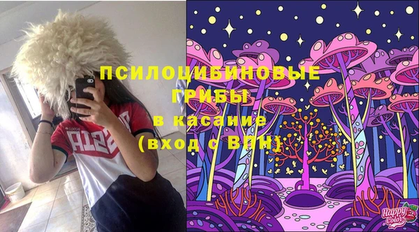 дживик Каменногорск