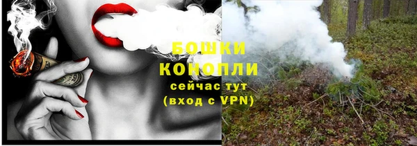 дживик Каменногорск