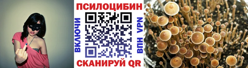 Псилоцибиновые грибы Psilocybine cubensis  Купить  Вихоревка 